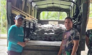 whatsapp_image_2023-11-23_at_16_02_541